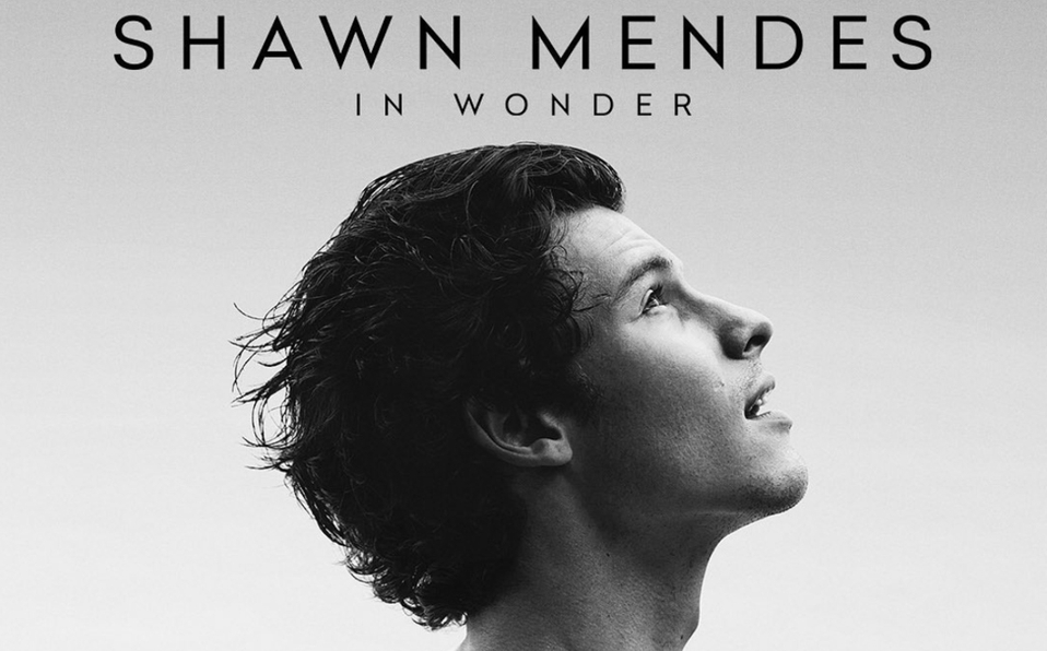 «In Wonder», el documental de Shawn Mendes llegará a Netflix