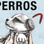 Keum Suk Gendry-Kim presenta ‘Perros’, una emotiva novela gráfica sobre el mejor amigo del hombre